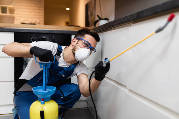 Best Affordable Exterminators  in Centerburg, OH
