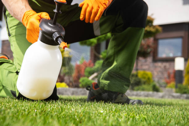 Best Bed Bug Extermination  in Centerburg, OH