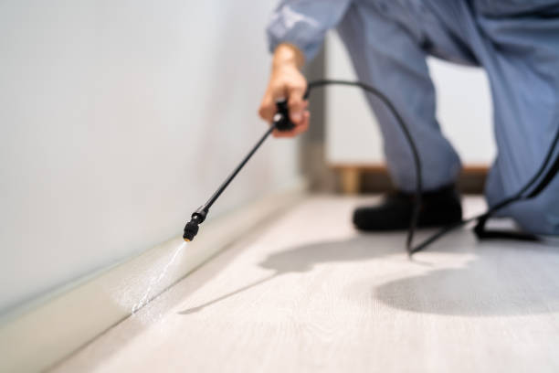 Best Termite Control Services  in Centerburg, OH