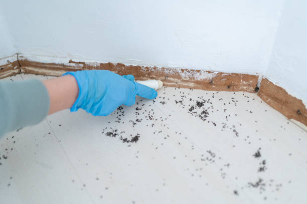 Best Bed Bug Extermination  in Centerburg, OH