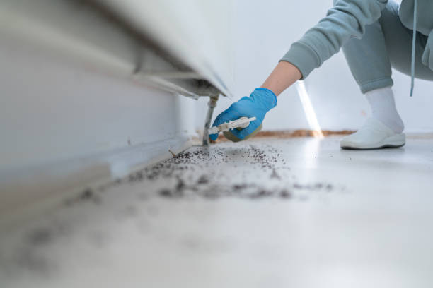 Best Wildlife Control Services  in Centerburg, OH