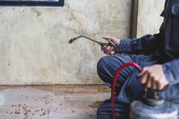 Best Mosquito Control Services  in Centerburg, OH